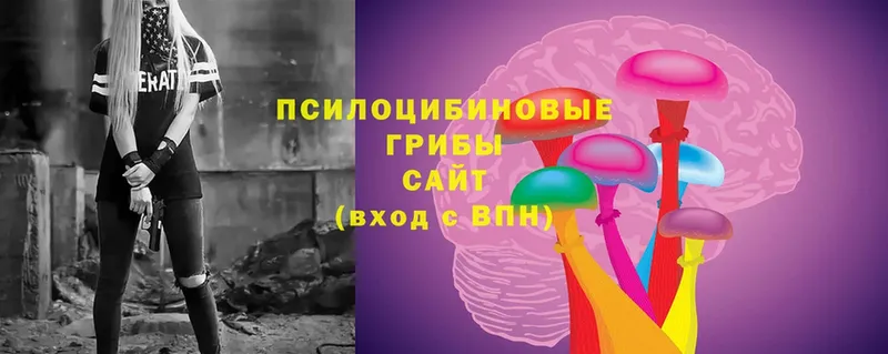 Галлюциногенные грибы мухоморы  сколько стоит  Могоча 